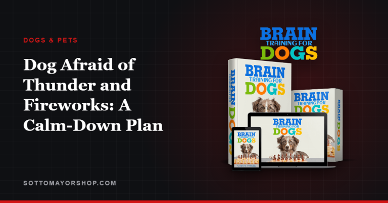 Dog Afraid of Thunder and Fireworks: A Calm-Down Plan