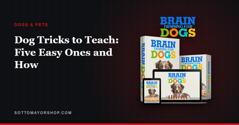 Dog Tricks to Teach: Five Easy Ones and How