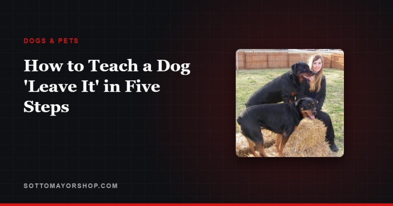 How to Teach a Dog ‘Leave It’ in Five Steps