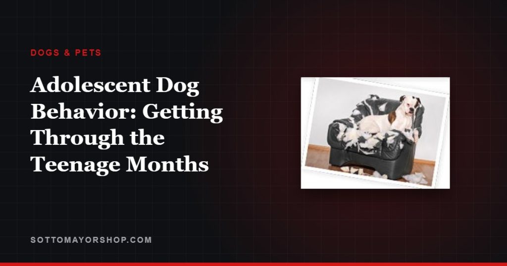 Adolescent Dog Behavior: Getting Through the Teenage Months