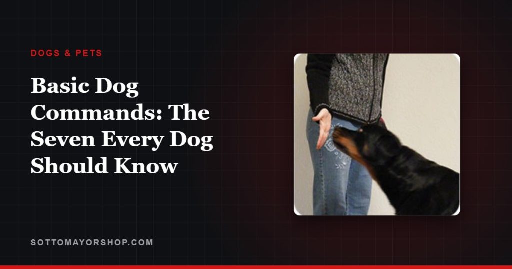 Basic Dog Commands: The Seven Every Dog Should Know