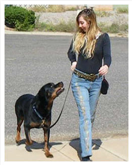 Adrienne Farricelli walking a Rottweiler on a loose leash