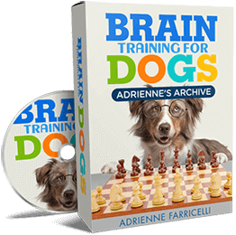 Brain Training for Dogs box: Adrienne's Archive