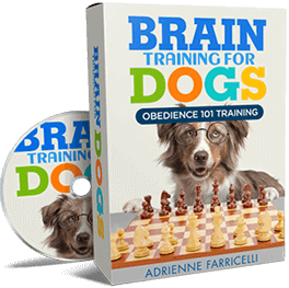 Brain Training for Dogs box: Obedience 101 Training