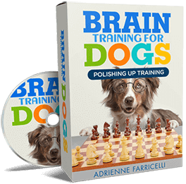 Brain Training for Dogs box: Polishing Up Training