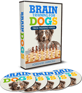 Brain Training for Dogs case: Trick Training Videos