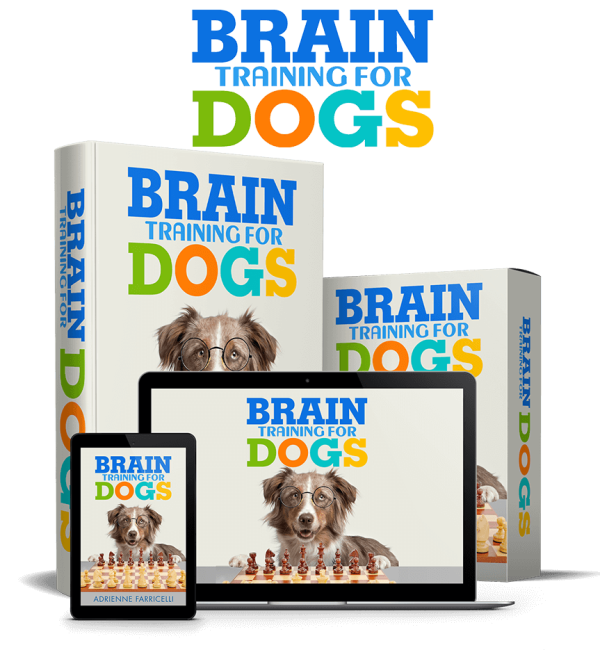 Brain Training for Dogs package: course boxes on a laptop, a tablet and a phone