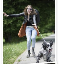 Small dog pulling its owner along on the leash