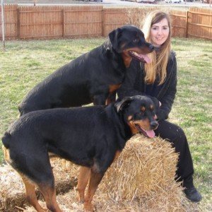 Trainer Adrienne Farricelli with her two Rottweilers