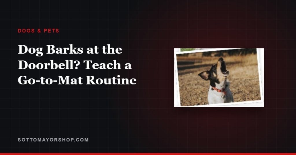 Dog Barks at the Doorbell? Teach a Go-to-Mat Routine