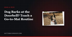 Dog Barks at the Doorbell? Teach a Go-to-Mat Routine
