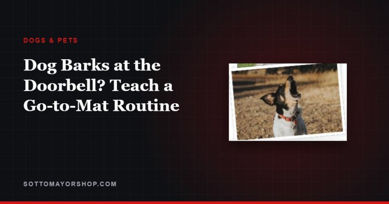 Dog Barks at the Doorbell? Teach a Go-to-Mat Routine