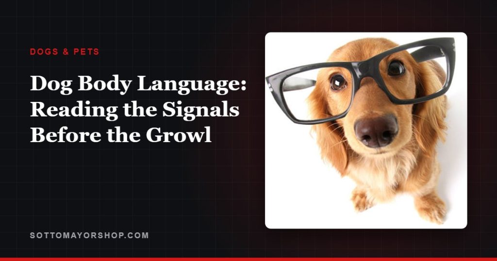 Dog Body Language: Reading the Signals Before the Growl