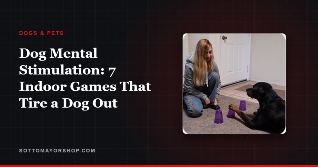 Dog Mental Stimulation: 7 Indoor Games That Tire a Dog Out