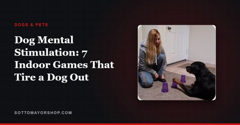 Dog Mental Stimulation: 7 Indoor Games That Tire a Dog Out