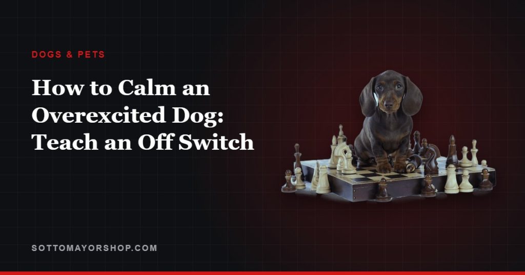 How to Calm an Overexcited Dog: Teach an Off Switch