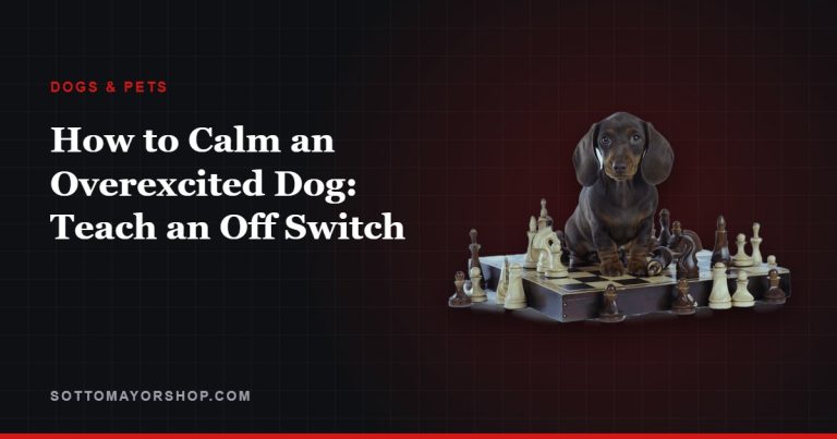 How to Calm an Overexcited Dog: Teach an Off Switch