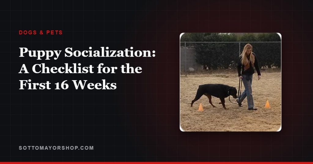 Puppy Socialization: A Checklist for the First 16 Weeks