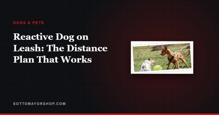 Reactive Dog on Leash: The Distance Plan That Works