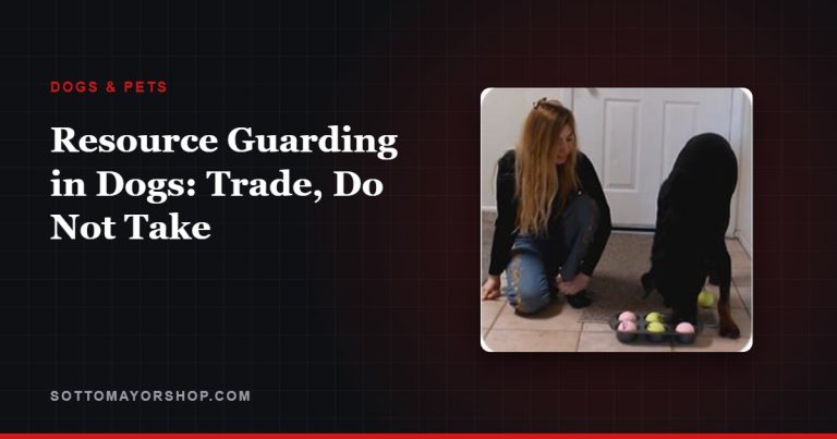 Resource Guarding in Dogs: Trade, Do Not Take