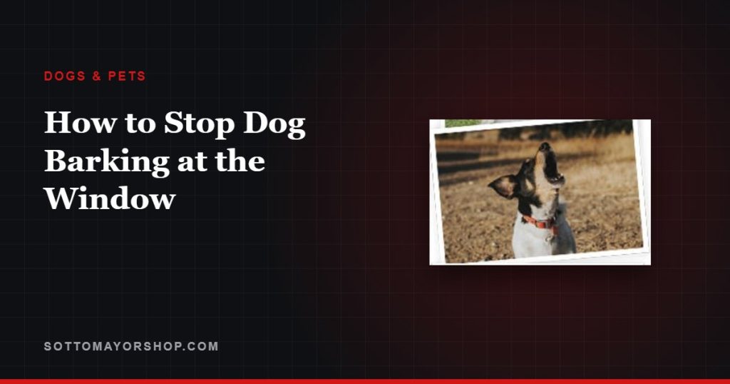 How to Stop Dog Barking at the Window
