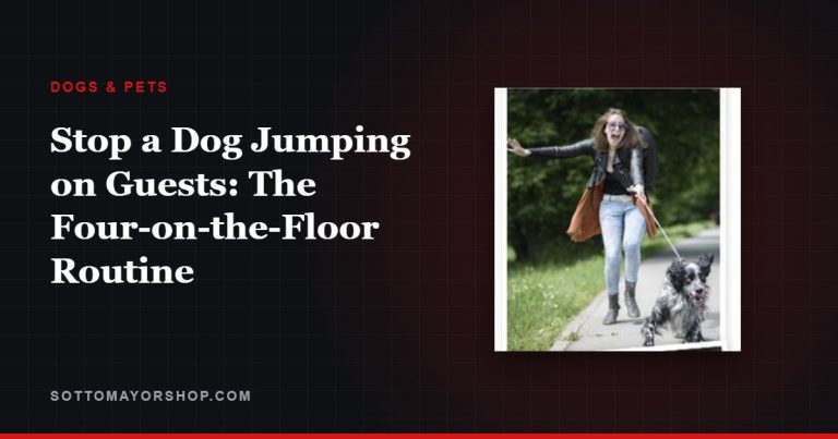 Stop a Dog Jumping on Guests: The Four-on-the-Floor Routine