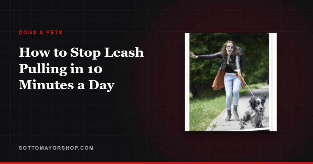 How to Stop Leash Pulling in 10 Minutes a Day
