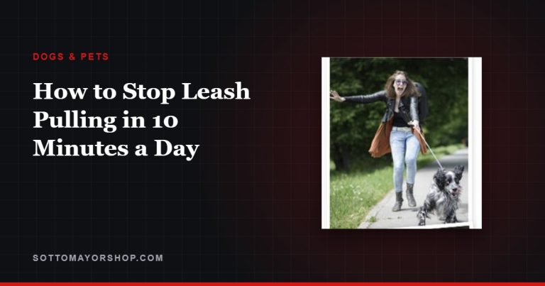 How to Stop Leash Pulling in 10 Minutes a Day